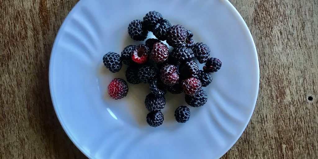 red and black berries on white ceramic plate