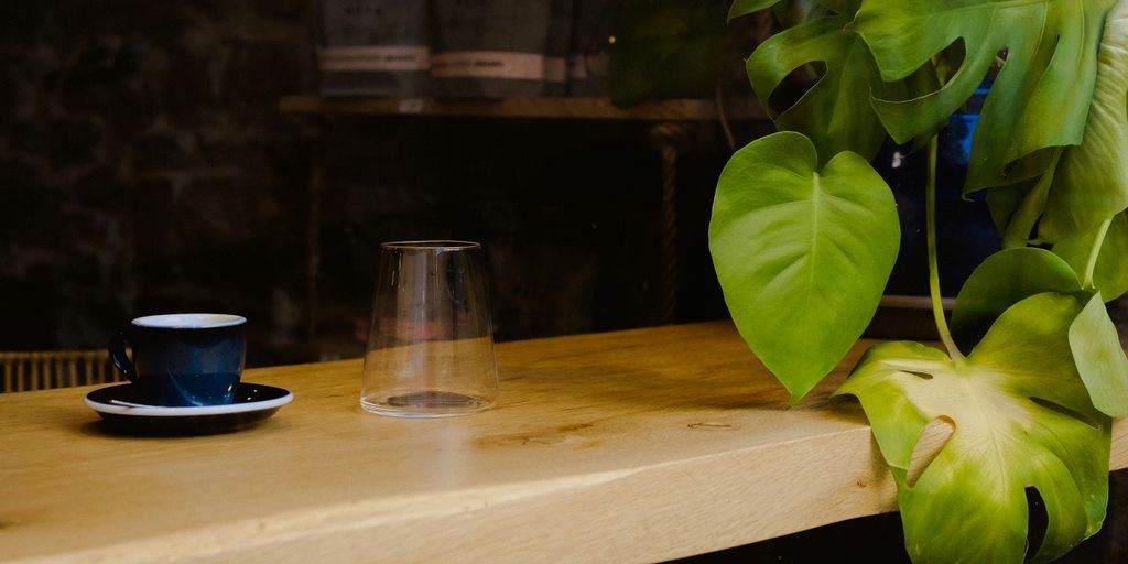 a glass of water next to a plant on a table